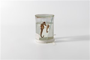 Image description is not available for 2003.10.18